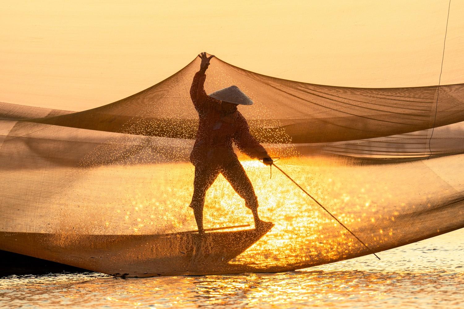 World Photo Annual Featured Image