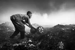 João Coelho entry image